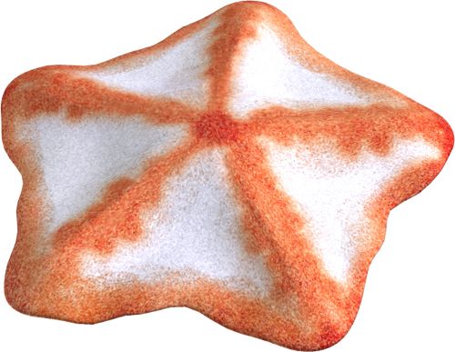 Starfish PNG    图片编号:37352