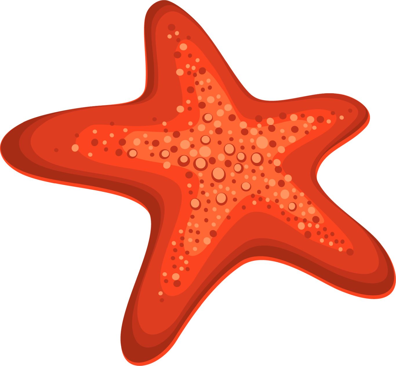 Starfish PNG    图片编号:37361