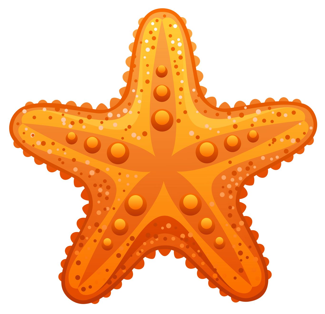 Starfish PNG    图片编号:37374