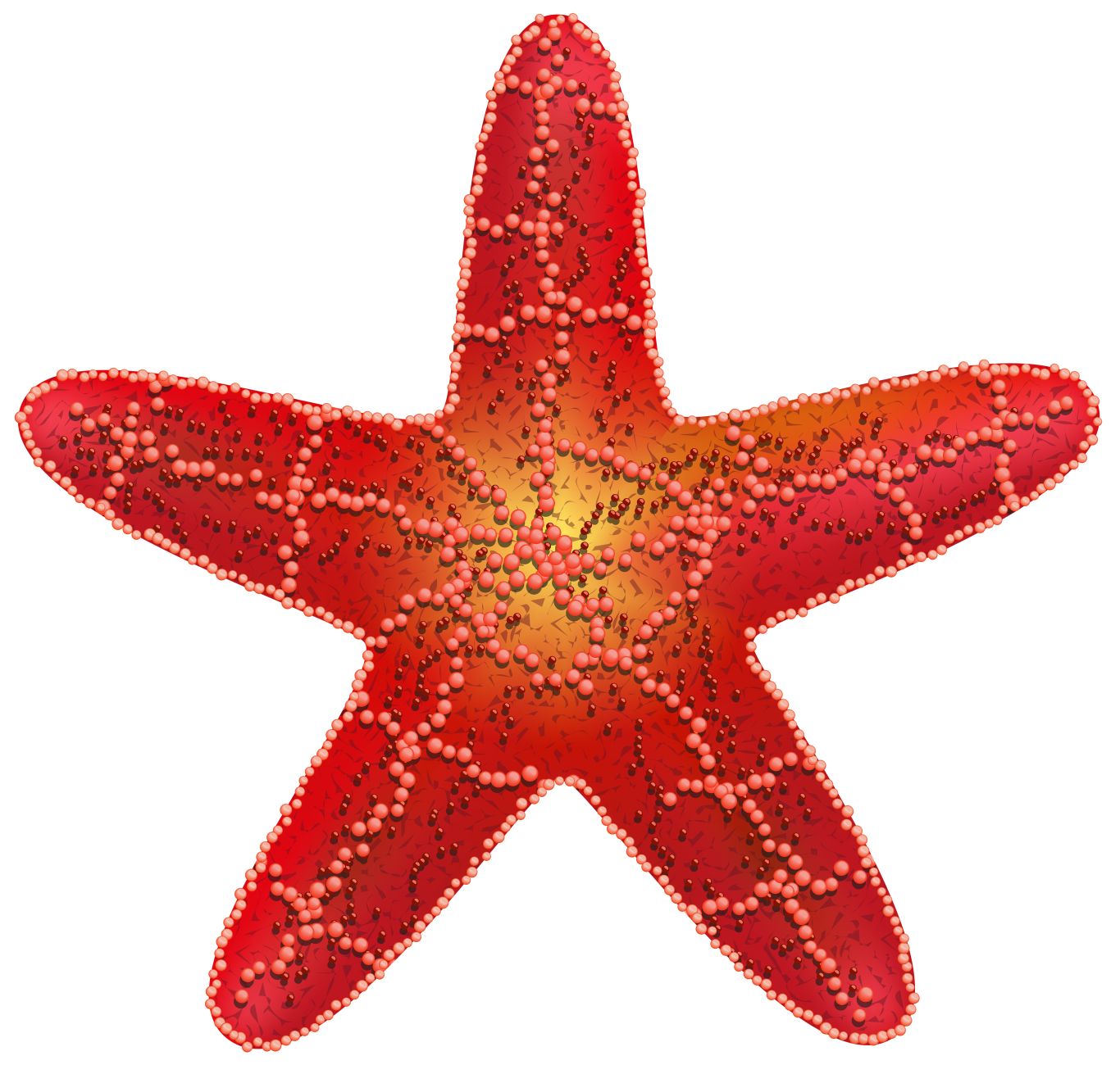 Starfish PNG    图片编号:37378