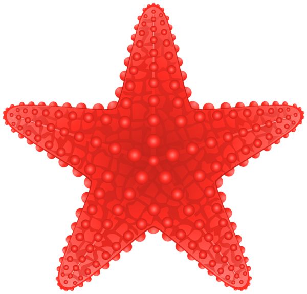 Starfish PNG    图片编号:37383