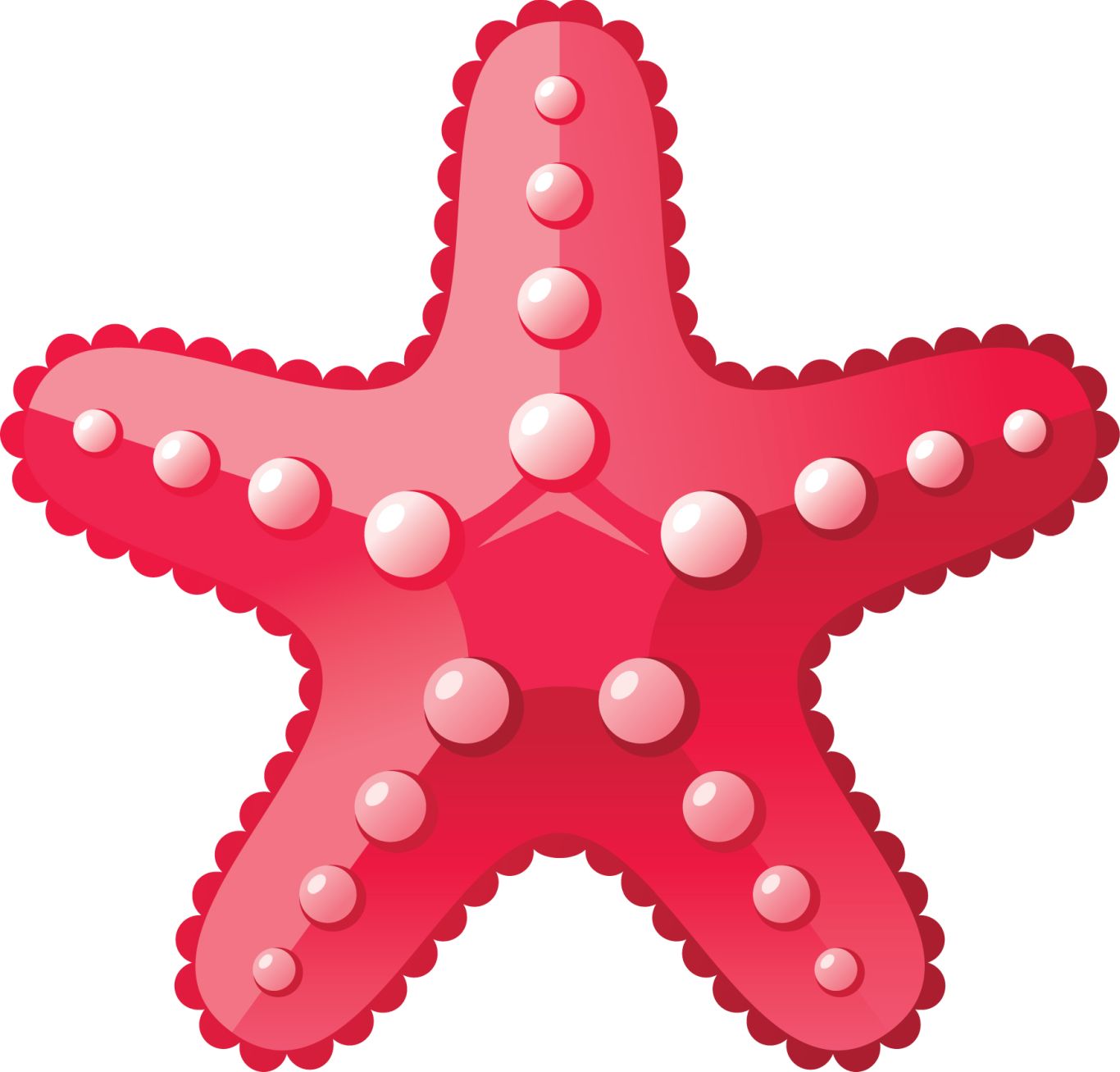 Starfish PNG    图片编号:37386