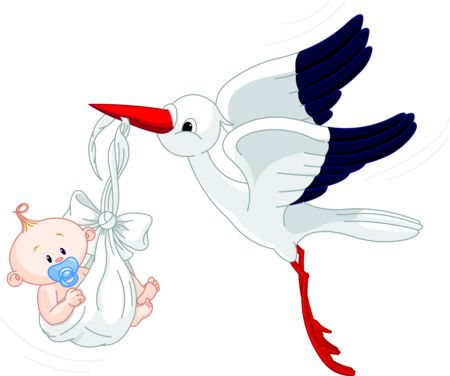 stork baby PNG    图片编号:23887