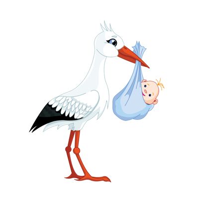 stork baby PNG    图片编号:23888