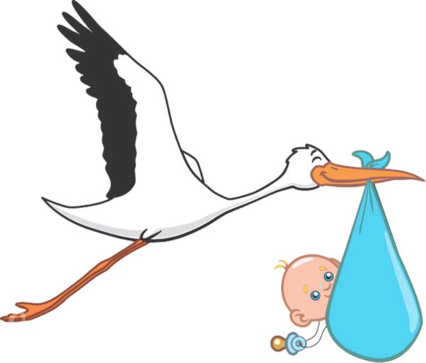 stork baby PNG    图片编号:23894