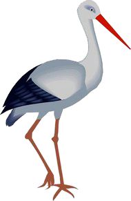 Stork PNG    图片编号:23906