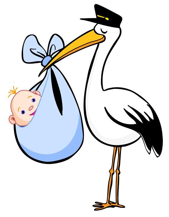 stork baby PNG    图片编号:23908