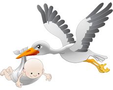 stork baby PNG    图片编号:23909