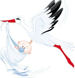 stork baby PNG    图片编号:23877