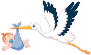stork baby PNG    图片编号:23881