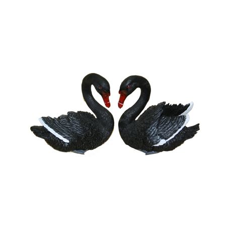 Black swan PNG    图片编号:20151