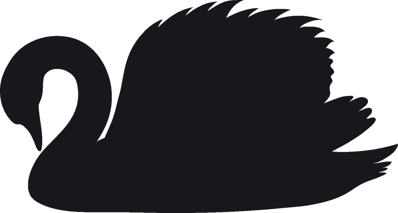 Black swan PNG    图片编号:20155