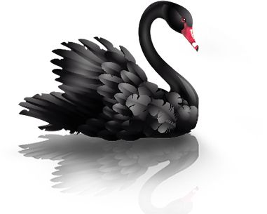 Black swan PNG    图片编号:20200