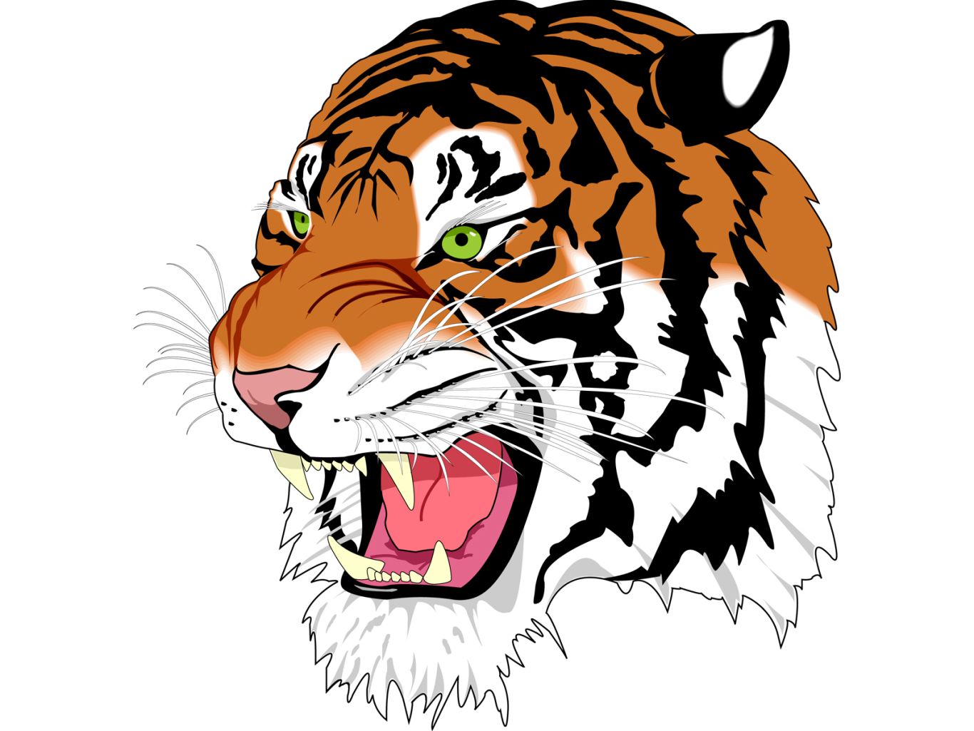 Tiger PNG image, free download, tigers    图片编号:553