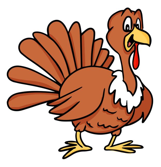 Turkey bird PNG    图片编号:58554