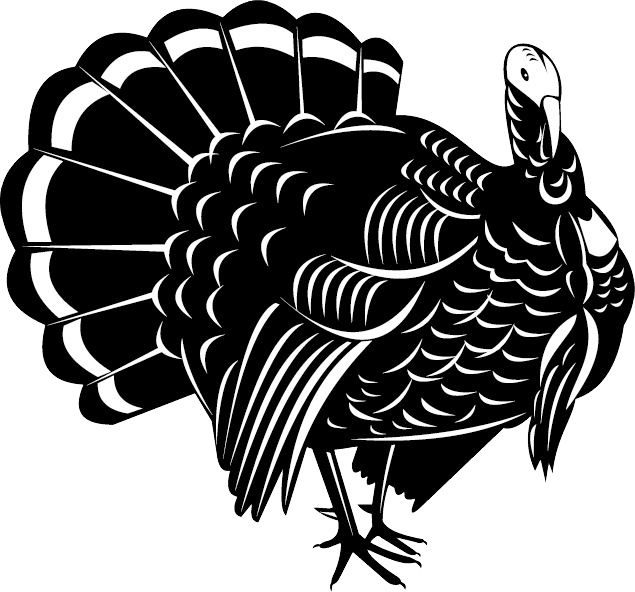 Turkey bird PNG    图片编号:58555