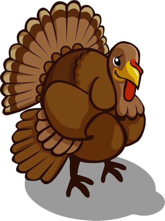Turkey bird PNG    图片编号:58567