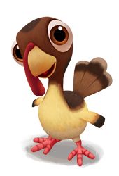 Turkey bird PNG    图片编号:58571