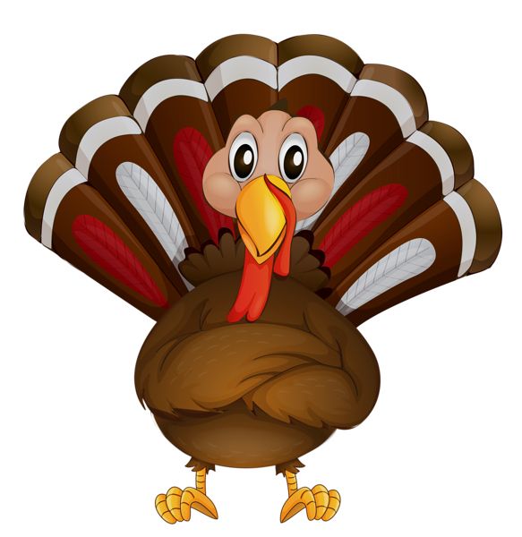 Turkey bird PNG    图片编号:58575