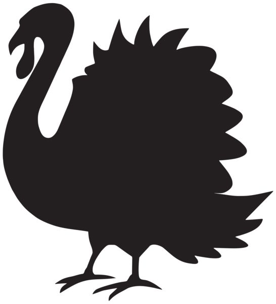 Turkey bird PNG    图片编号:58586