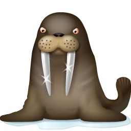Walrus PNG    图片编号:25060