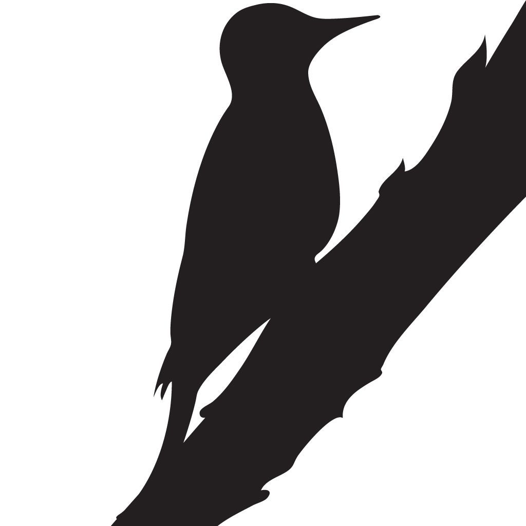 Woodpecker PNG    图片编号:67208