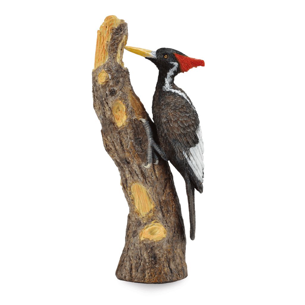 Woodpecker PNG    图片编号:67211