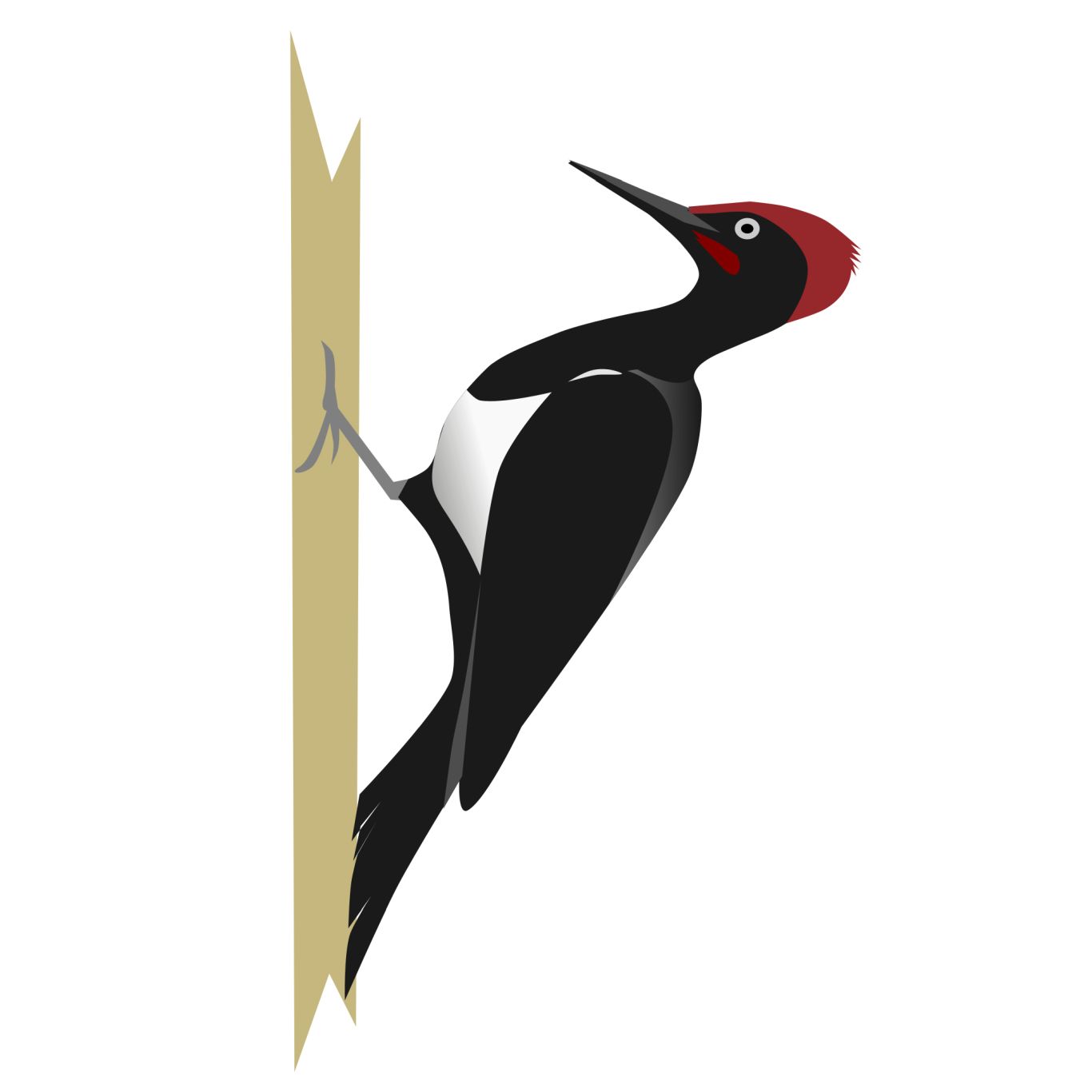 Woodpecker PNG    图片编号:67195
