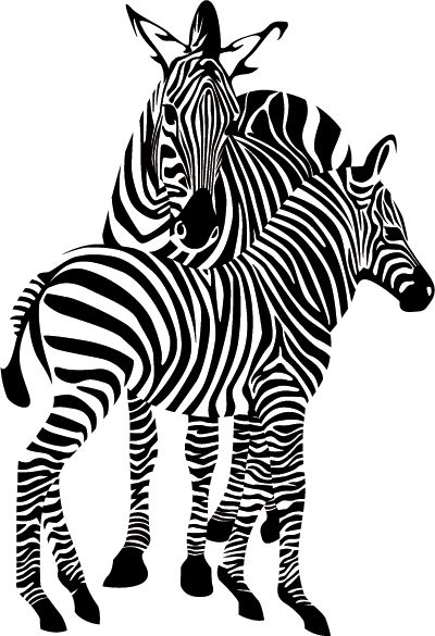 Zebra PNG image    图片编号:8969