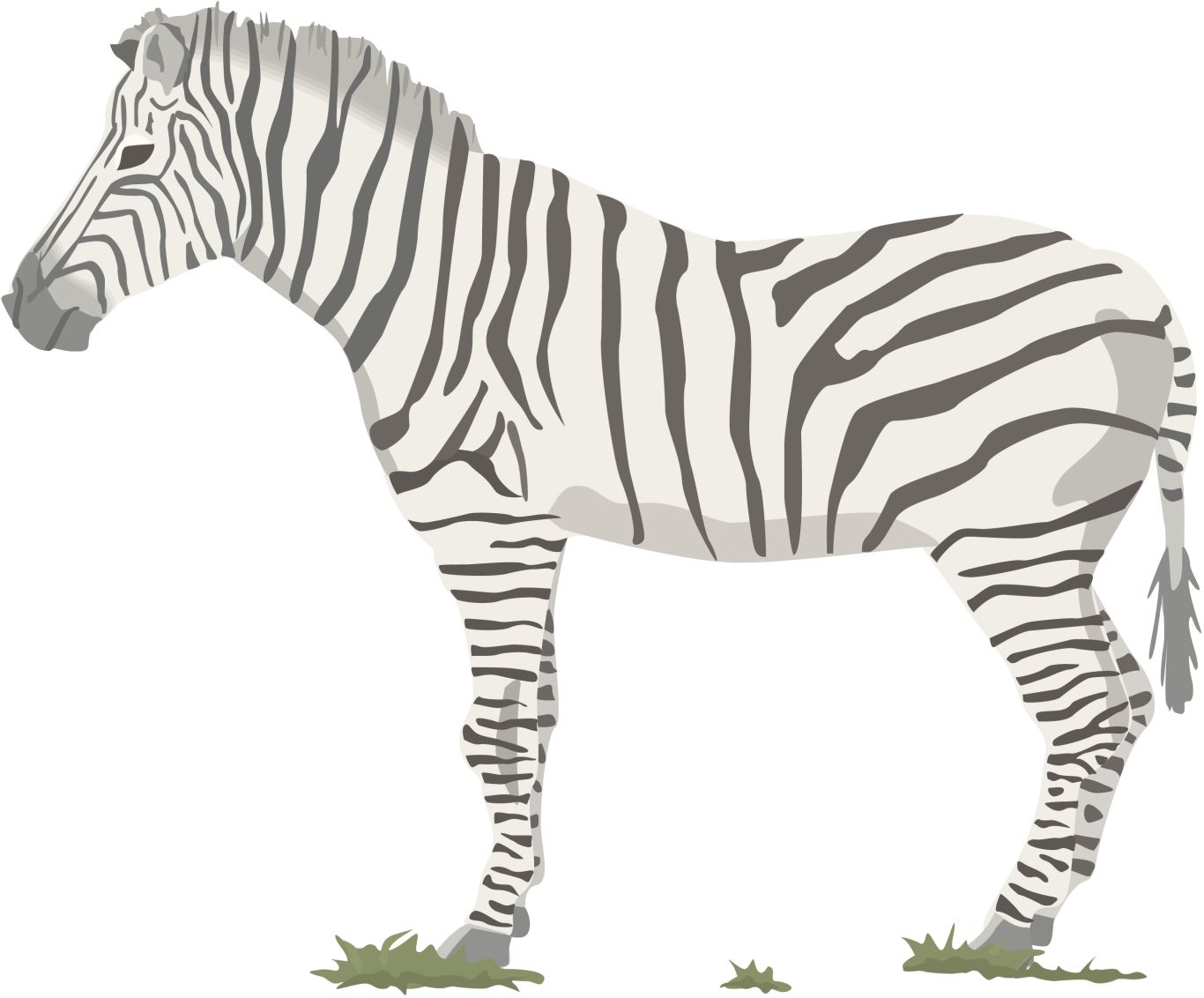 Zebra PNG image    图片编号:95987