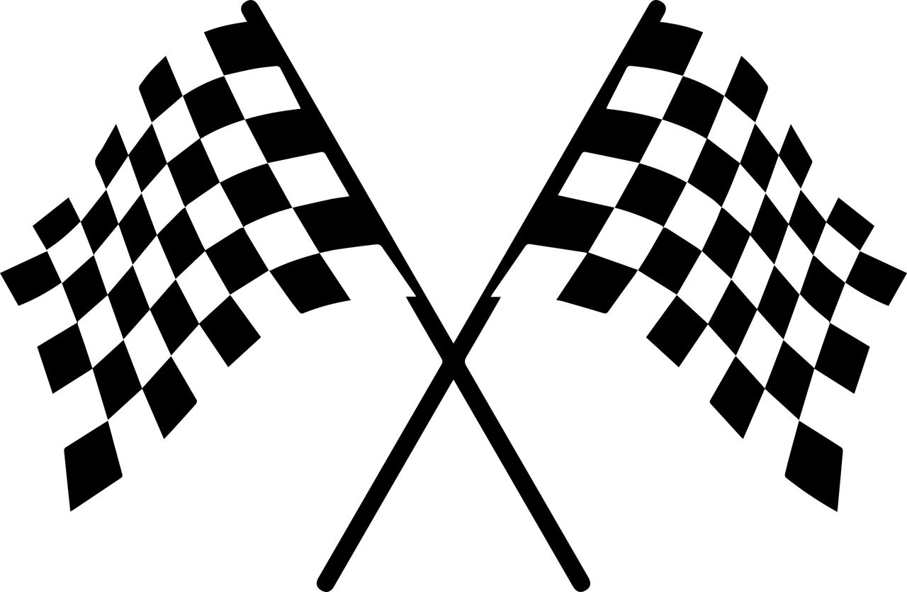 Racing flag chequered flag PNG    图片编号:104729