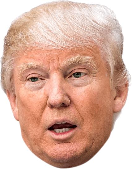 Donald Trump PNG    图片编号:29282