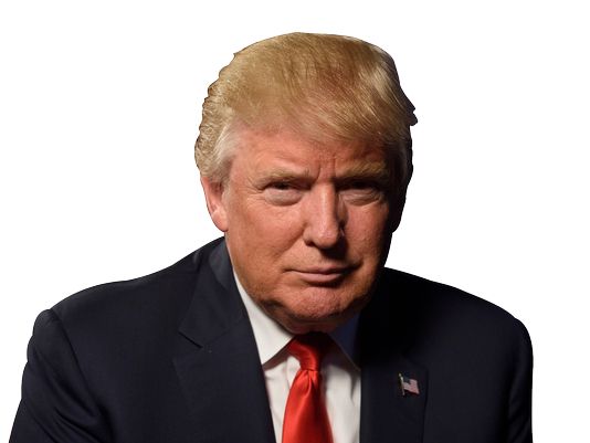 Donald Trump PNG    图片编号:29289