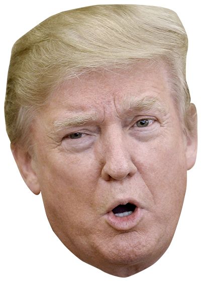 Donald Trump PNG    图片编号:29318