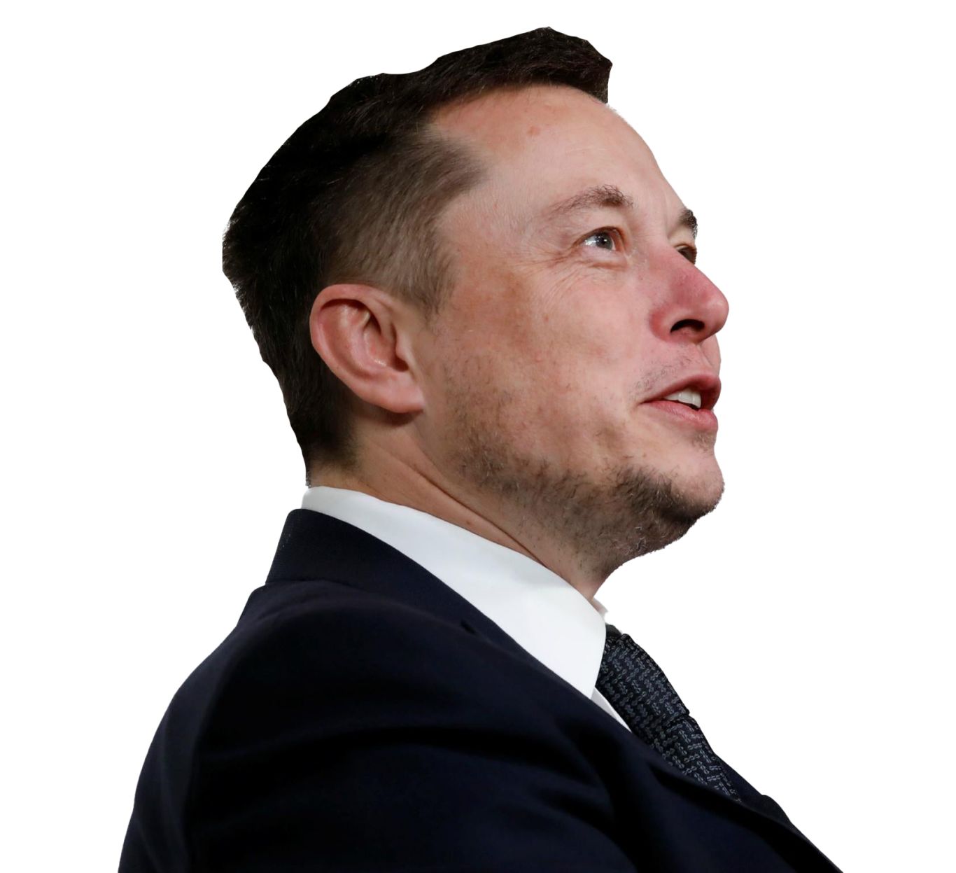 Elon Musk PNG    图片编号:107317