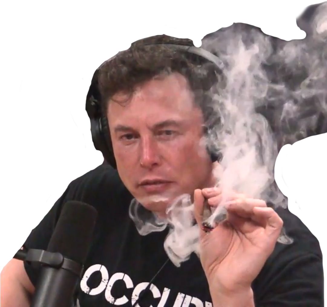 Elon Musk PNG    图片编号:107297