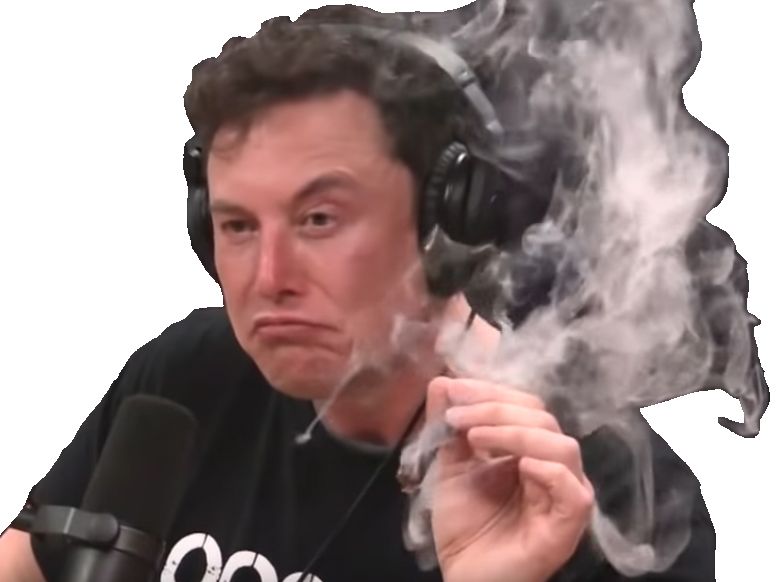 Elon Musk PNG    图片编号:107298