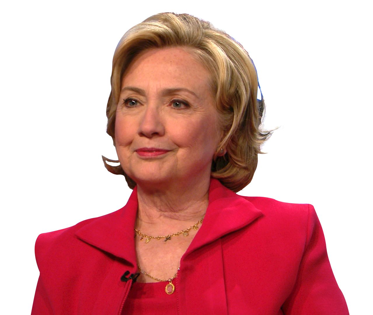 Hillary Clinton PNG    图片编号:30328