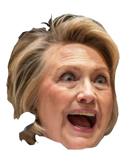 Hillary Clinton PNG    图片编号:30335