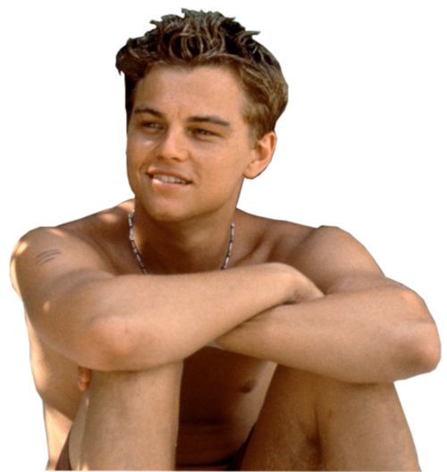 Leonardo DiCaprio PNG    图片编号:32767