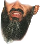Osama bin Laden PNG    图片编号:65326