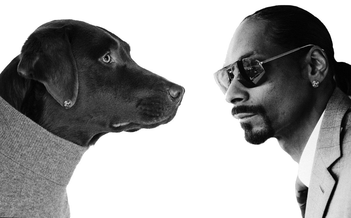 Snoop Dogg PNG    图片编号:32097