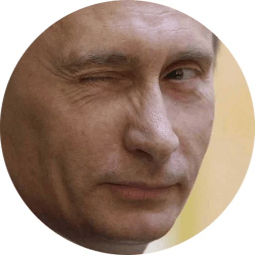 Vladimir Putin PNG    图片编号:29365