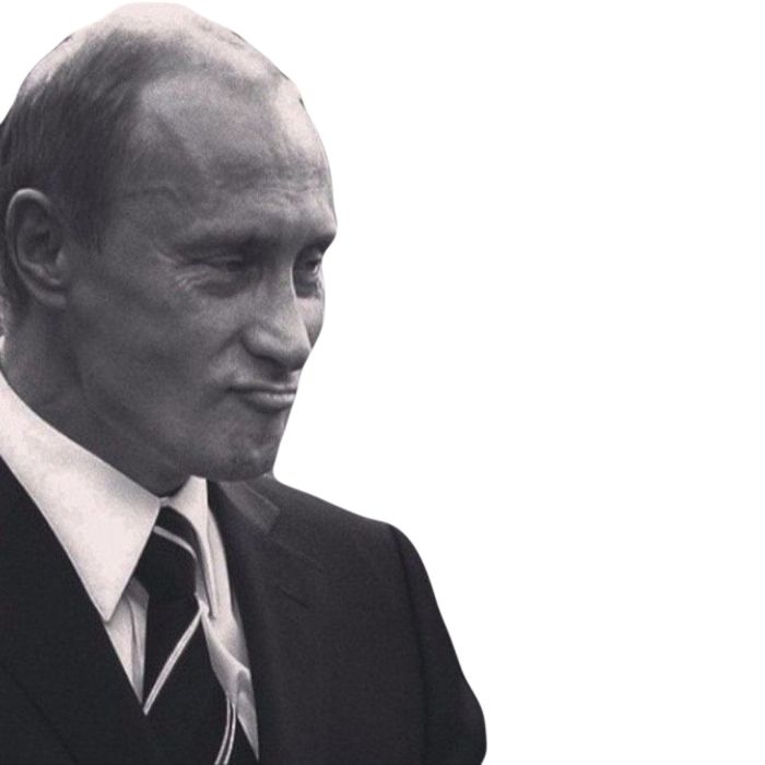 Vladimir Putin PNG    图片编号:29372