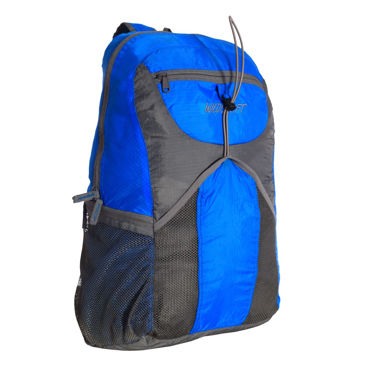 Backpack PNG image    图片编号:6319
