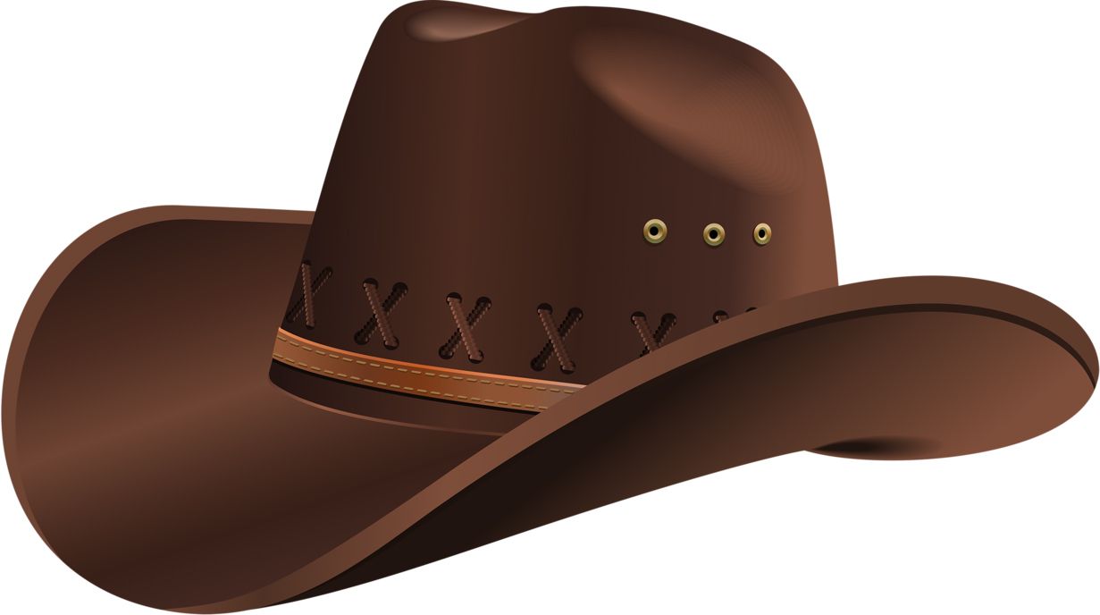 Cowboy hat PNG    图片编号:59642