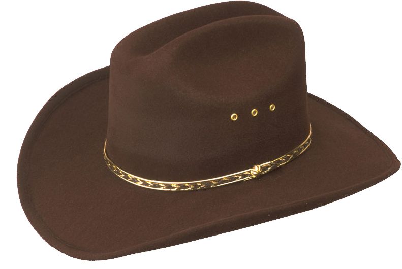 Cowboy hat PNG    图片编号:59646
