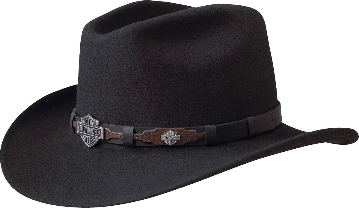 Cowboy hat PNG    图片编号:59656