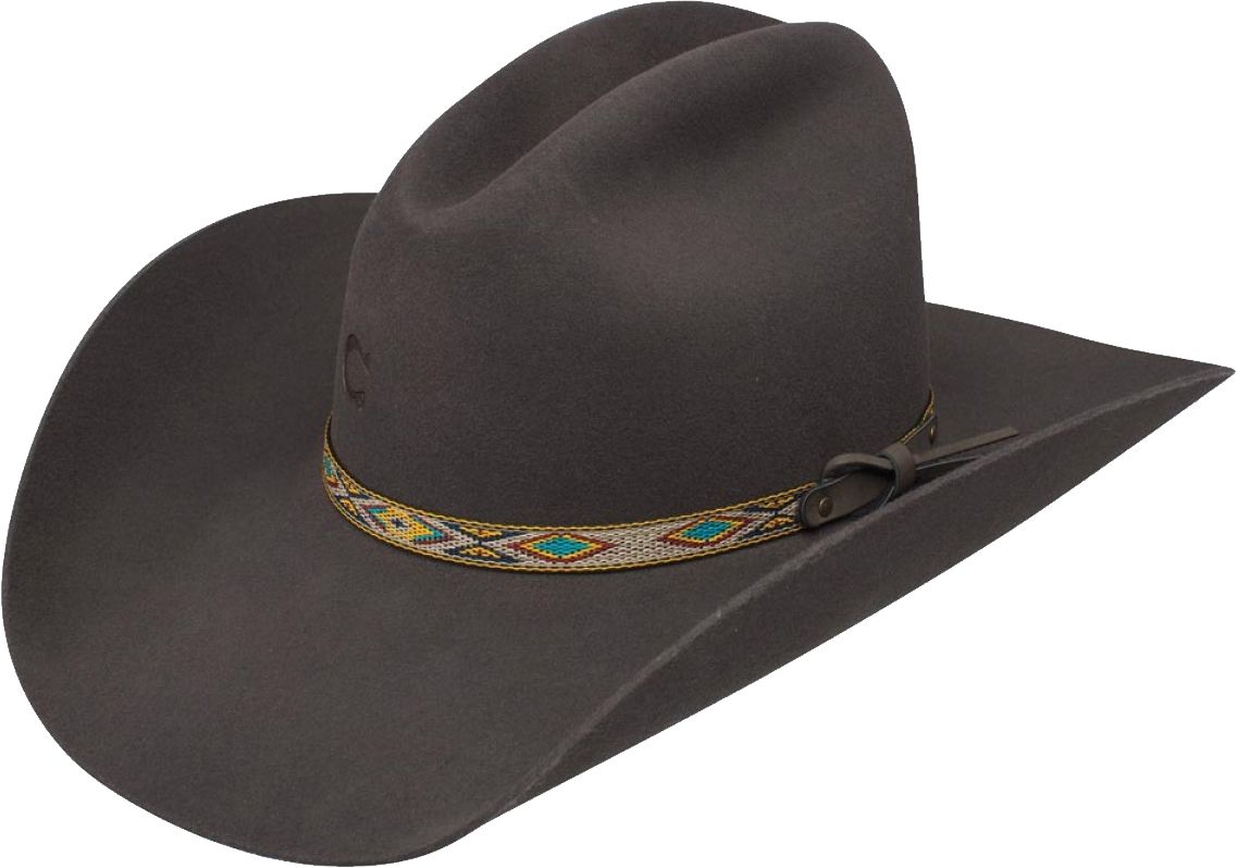 Cowboy hat PNG    图片编号:59657