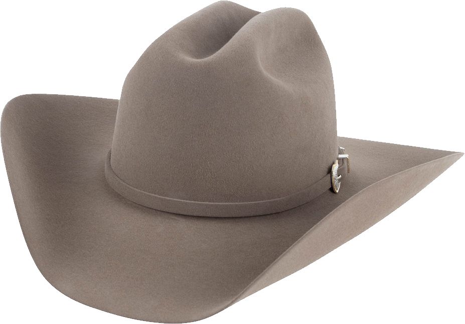 Cowboy hat PNG    图片编号:59663